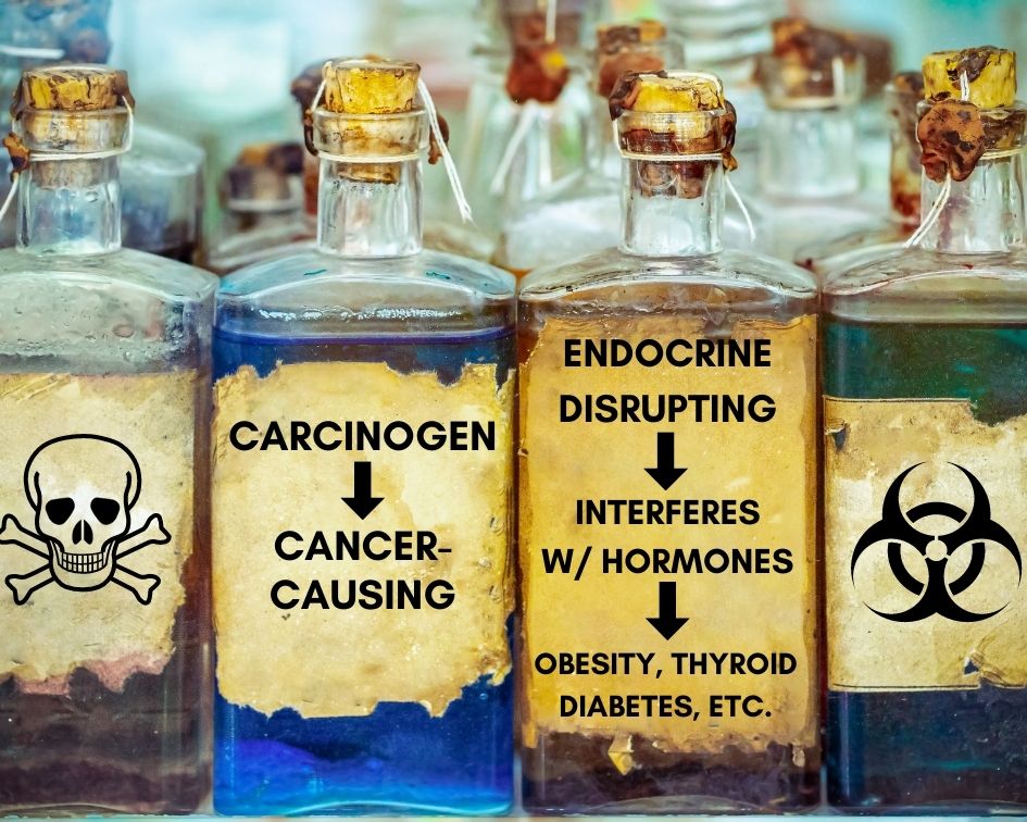 Carcinogens & Endocrine Disrupting Infographic