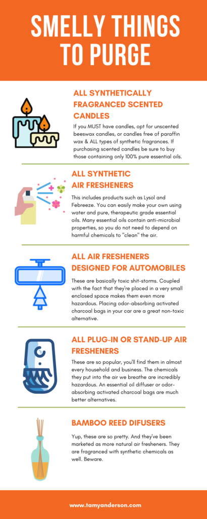 Smelly Things to Purge Infographic