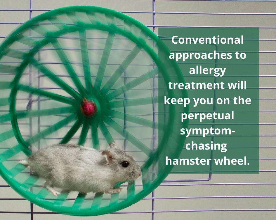 Conventional approaches to allergy treatment will keep you on the perpetual symptom-chasing hamster wheel.